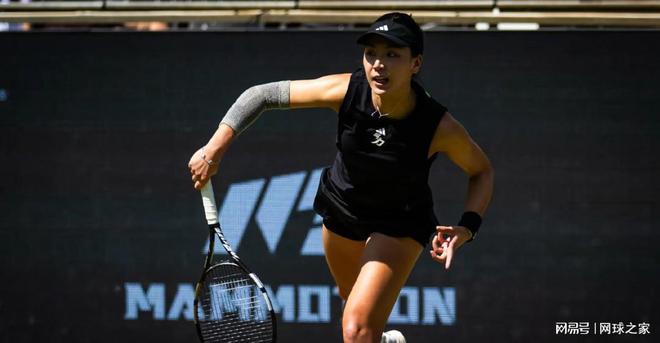 整个乒乓球 整个乒乓球