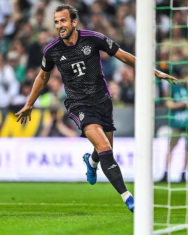 稳定发展的 稳定发展的