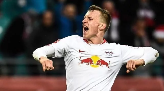 养与榜样树 养与榜样树